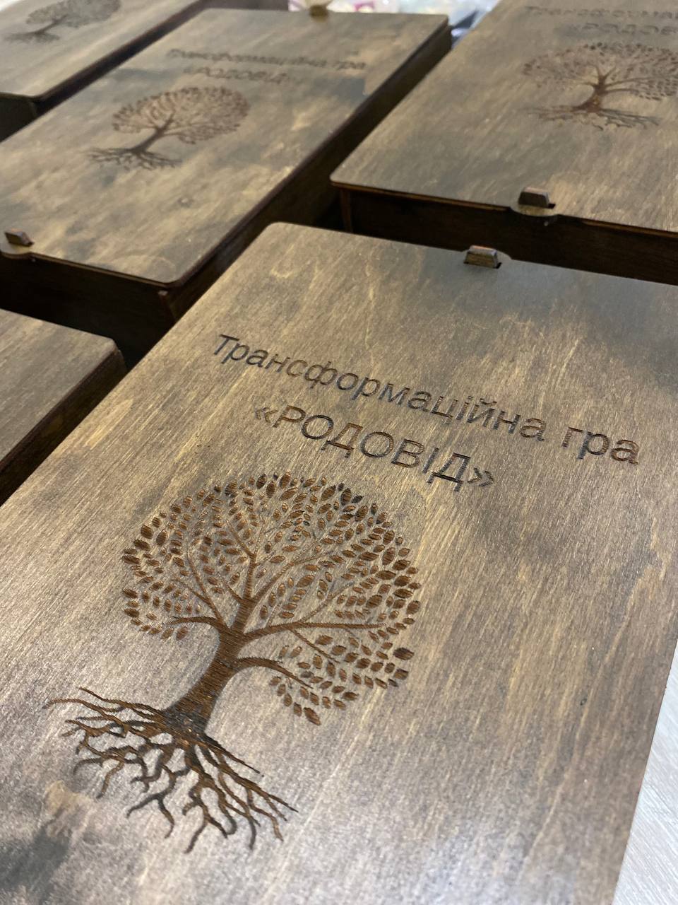 Трансформаційна гра "Родовід" - Зображення 4